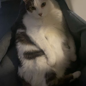 Fidji