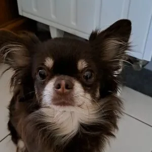 Tina