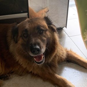 Estrella