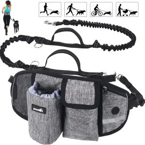 Laisse Mains Libres Chien Jusqu'Ă 110kg