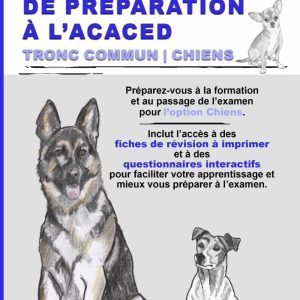 Préparation ACACED Tronc commun | Chiens