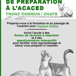 Préparation ACACED Tronc commun | Chats