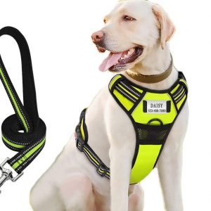 Harnais Anti Traction pour Chien Moonpet