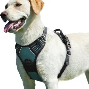 Harnais Anti Traction pour Chien Eagloo
