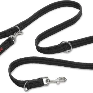 Laisse Chien éducative Halti