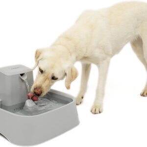 Fontaine à eau PetSafe pour chiens