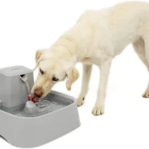 Fontaine Ă eau PetSafe pour chiens