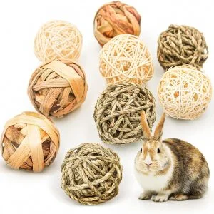 Jouets Ă mĂącher Reyshin pour lapins et rongeurs