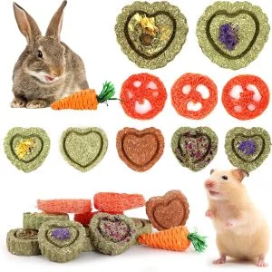 Jouets à mâcher DoggyzStyle pour lapins et rongeurs