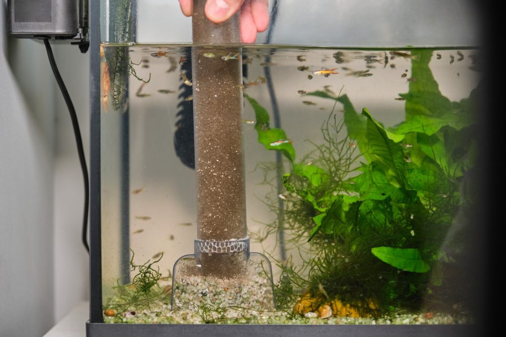 Nettoyage du sable de l'aquarium