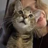 Images de profil de leonie - Blooming Pets - Petsitting et garde d'animaux à domicile
