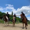 Images de profil de Angelique - Blooming Pets - Petsitting et garde d'animaux à domicile