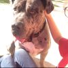 Images de profil de Sephora - Blooming Pets - Petsitting et garde d'animaux à domicile