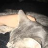 Images de profil de Sephora - Blooming Pets - Petsitting et garde d'animaux à domicile