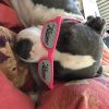 Images de profil de Audrey - Blooming Pets - Petsitting et garde d'animaux à domicile