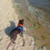 Images de profil de Marie-Laure - Blooming Pets - Petsitting et garde d'animaux à domicile