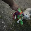 Images de profil de Philippe - Blooming Pets - Petsitting et garde d'animaux à domicile