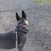 Images de profil de Maëva - Blooming Pets - Petsitting et garde d'animaux à domicile