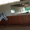Images de profil de Maëva - Blooming Pets - Petsitting et garde d'animaux à domicile