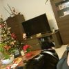 Images de profil de Maëva - Blooming Pets - Petsitting et garde d'animaux à domicile