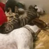 Images de profil de Marylou - Blooming Pets - Petsitting et garde d'animaux Ă domicile
