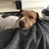 Images de profil de Marylou - Blooming Pets - Petsitting et garde d'animaux Ă domicile