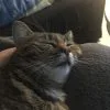 Images de profil de Marylou - Blooming Pets - Petsitting et garde d'animaux Ă domicile