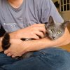 Images de profil de Loïc - Blooming Pets - Petsitting et garde d'animaux à domicile