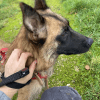 Images de profil de Faustine - Blooming Pets - Petsitting et garde d'animaux à domicile