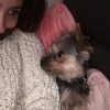 Images de profil de Jennifer - Blooming Pets - Petsitting et garde d'animaux à domicile
