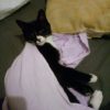 Images de profil de Alyssia - Blooming Pets - Petsitting et garde d'animaux à domicile