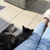 Images de profil de Julie - Blooming Pets - Petsitting et garde d'animaux à domicile
