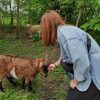 Images de profil de Julie - Blooming Pets - Petsitting et garde d'animaux à domicile