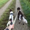 Images de profil de Julie - Blooming Pets - Petsitting et garde d'animaux à domicile