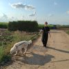 Images de profil de Julie - Blooming Pets - Petsitting et garde d'animaux à domicile