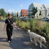 Images de profil de Julie - Blooming Pets - Petsitting et garde d'animaux à domicile