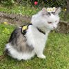 Images de profil de Audrey - Blooming Pets - Petsitting et garde d'animaux à domicile