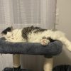 Images de profil de Audrey - Blooming Pets - Petsitting et garde d'animaux à domicile