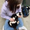 Images de profil de Luna - Blooming Pets - Petsitting et garde d'animaux à domicile