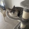 Images de profil de Aurélie - Blooming Pets - Petsitting et garde d'animaux à domicile