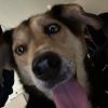 Images de profil de Clara - Blooming Pets - Petsitting et garde d'animaux à domicile