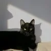 Images de profil de Manon - Blooming Pets - Petsitting et garde d'animaux Ă domicile