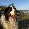 Images de profil de gaelle - Blooming Pets - Petsitting et garde d'animaux à domicile