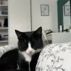 Images de profil de gaelle - Blooming Pets - Petsitting et garde d'animaux à domicile