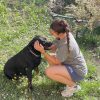Images de profil de Léa - Blooming Pets - Petsitting et garde d'animaux à domicile
