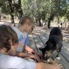 Images de profil de Sonia - Blooming Pets - Petsitting et garde d'animaux à domicile