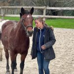 Kiltale Mon Cheval  Connemara Femelle - Garde d'animaux à domicile
