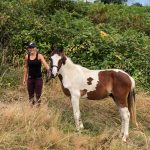 ALtaï Mon Cheval  Poney Français de Selle Mâle - Garde d'animaux à domicile