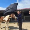 Images de profil de Eileen - Blooming Pets - Petsitting et garde d'animaux à domicile
