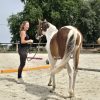 Images de profil de Eileen - Blooming Pets - Petsitting et garde d'animaux à domicile